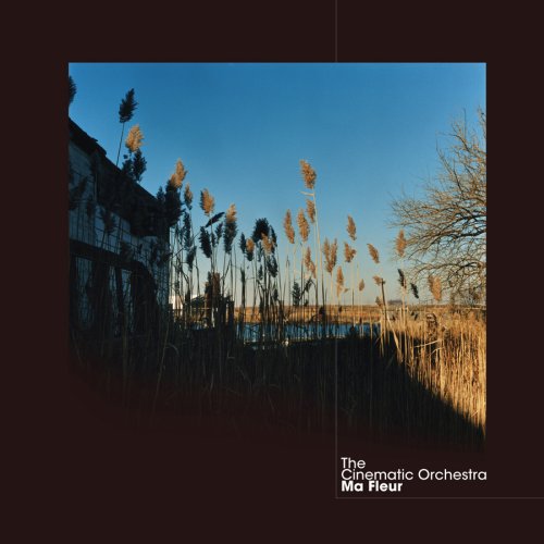 Cinematic Orchestra image and pictorial
