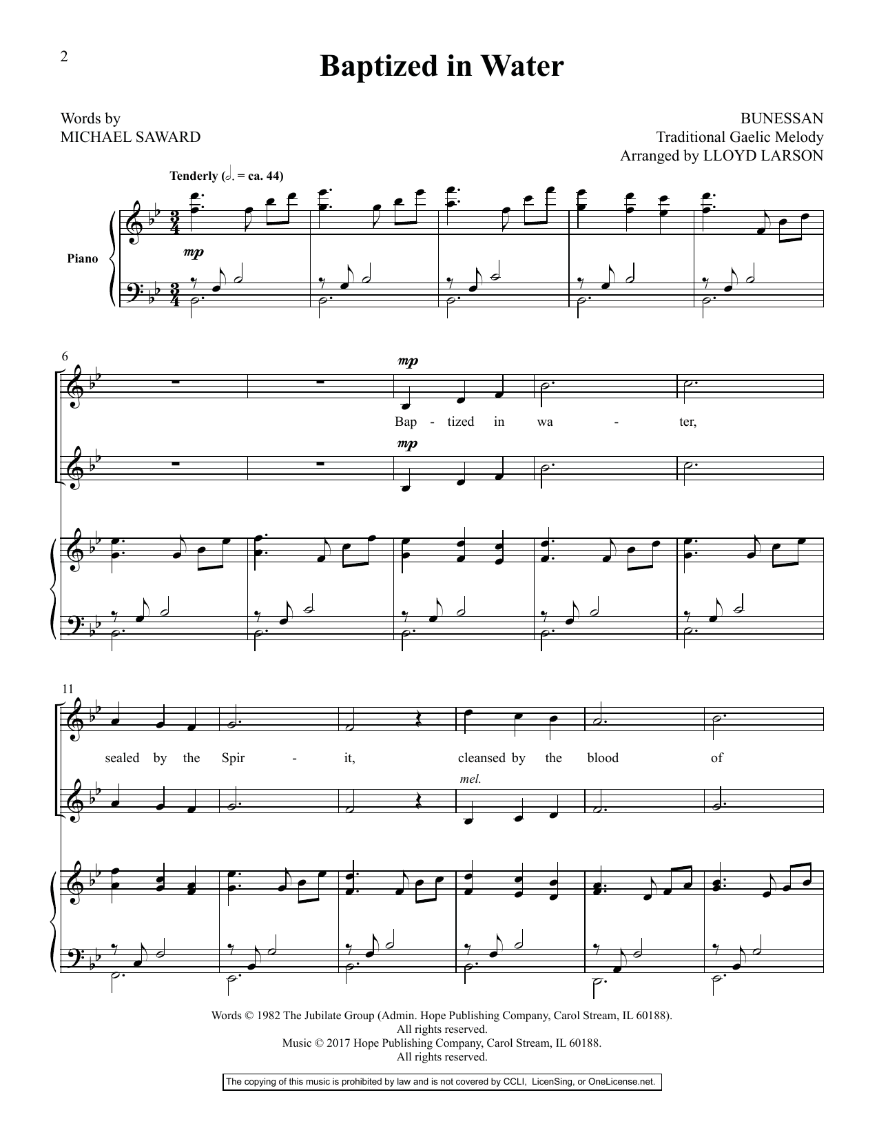 Download Lloyd Larson Today's Hymns & Songs For Two Voices, V Sheet Music