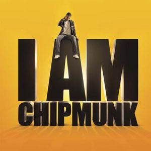 Chipmunk image and pictorial
