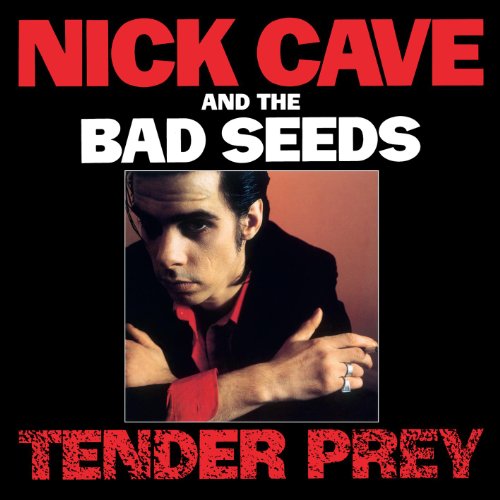 Nick Cave & The Bad Seeds image and pictorial