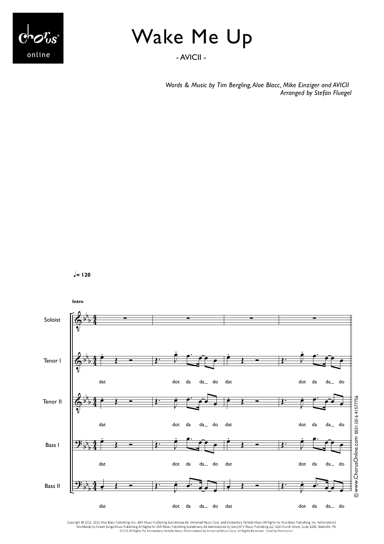 Avicii Wake Me Up (arr. Stefan Flügel) sheet music notes printable PDF score