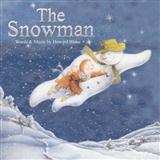 Download or print Walking In The Air (theme from The Snowman) Sheet Music Printable PDF 5-page score for Film and TV / arranged Piano & Vocal SKU: 102057.