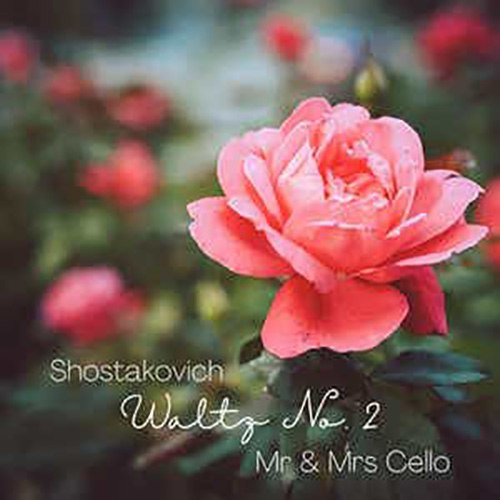 Mr & Mrs Cello image and pictorial