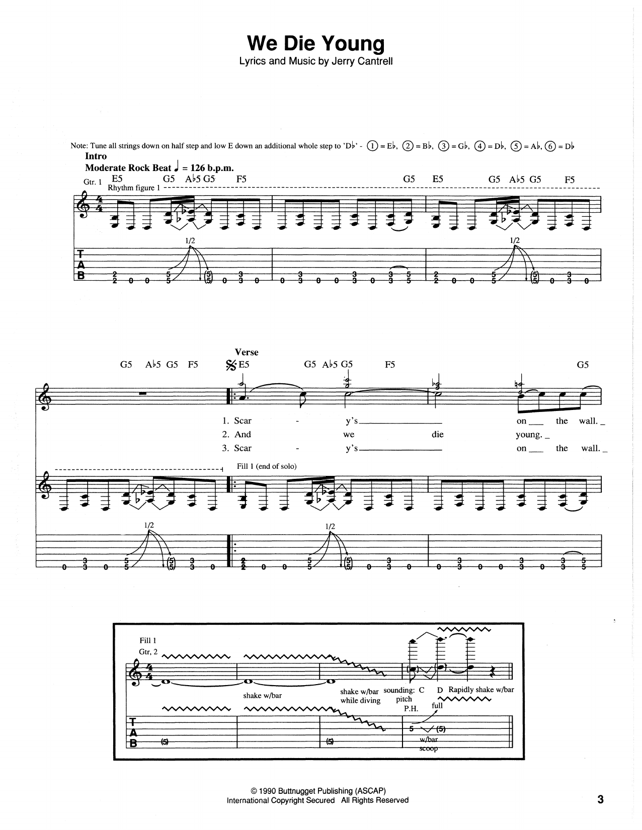 Download Alice In Chains We Die Young Sheet Music