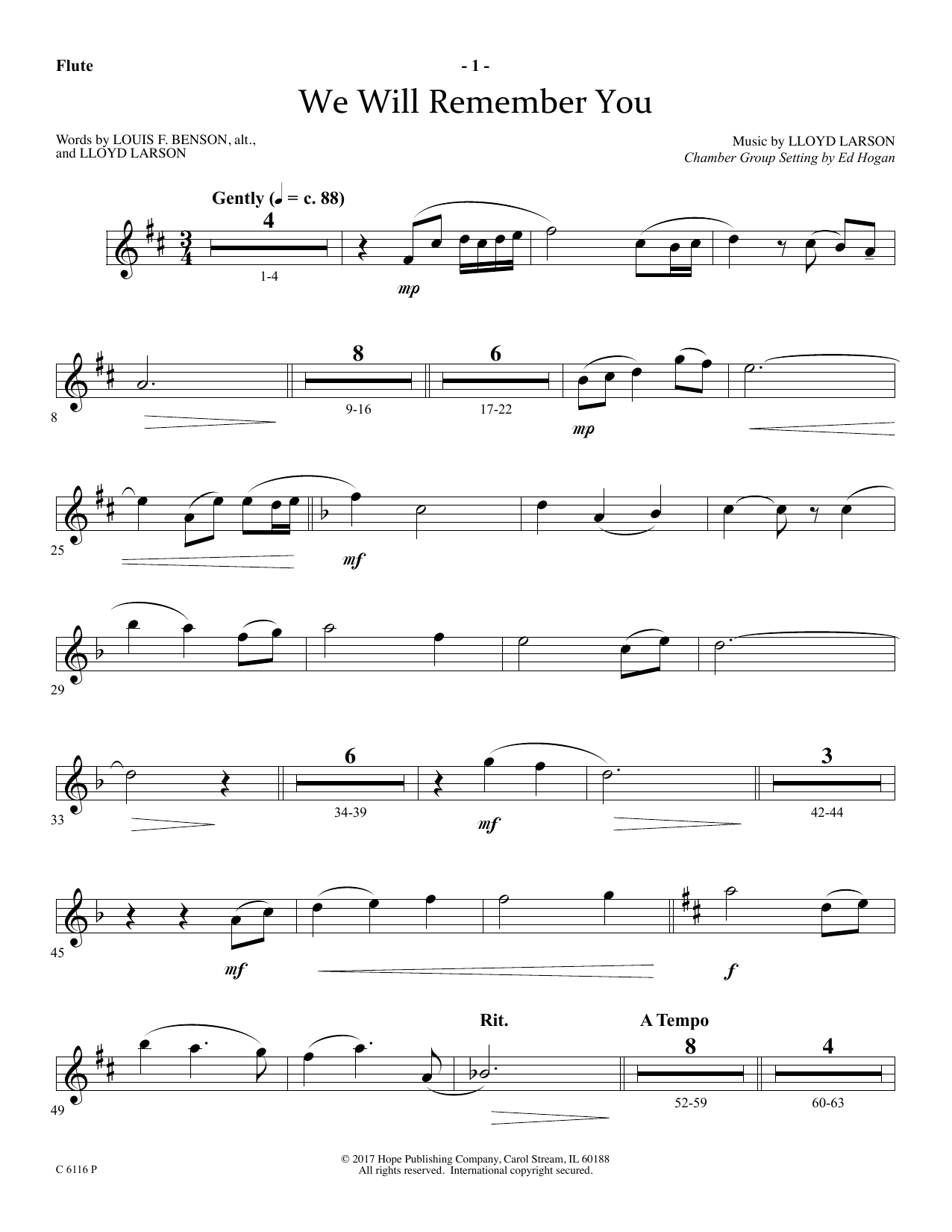Download Ed Hogan We Will Remember You - Flute Sheet Music