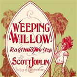 Download or print Weeping Willow Rag Sheet Music Printable PDF 4-page score for Jazz / arranged Easy Piano SKU: 103950.