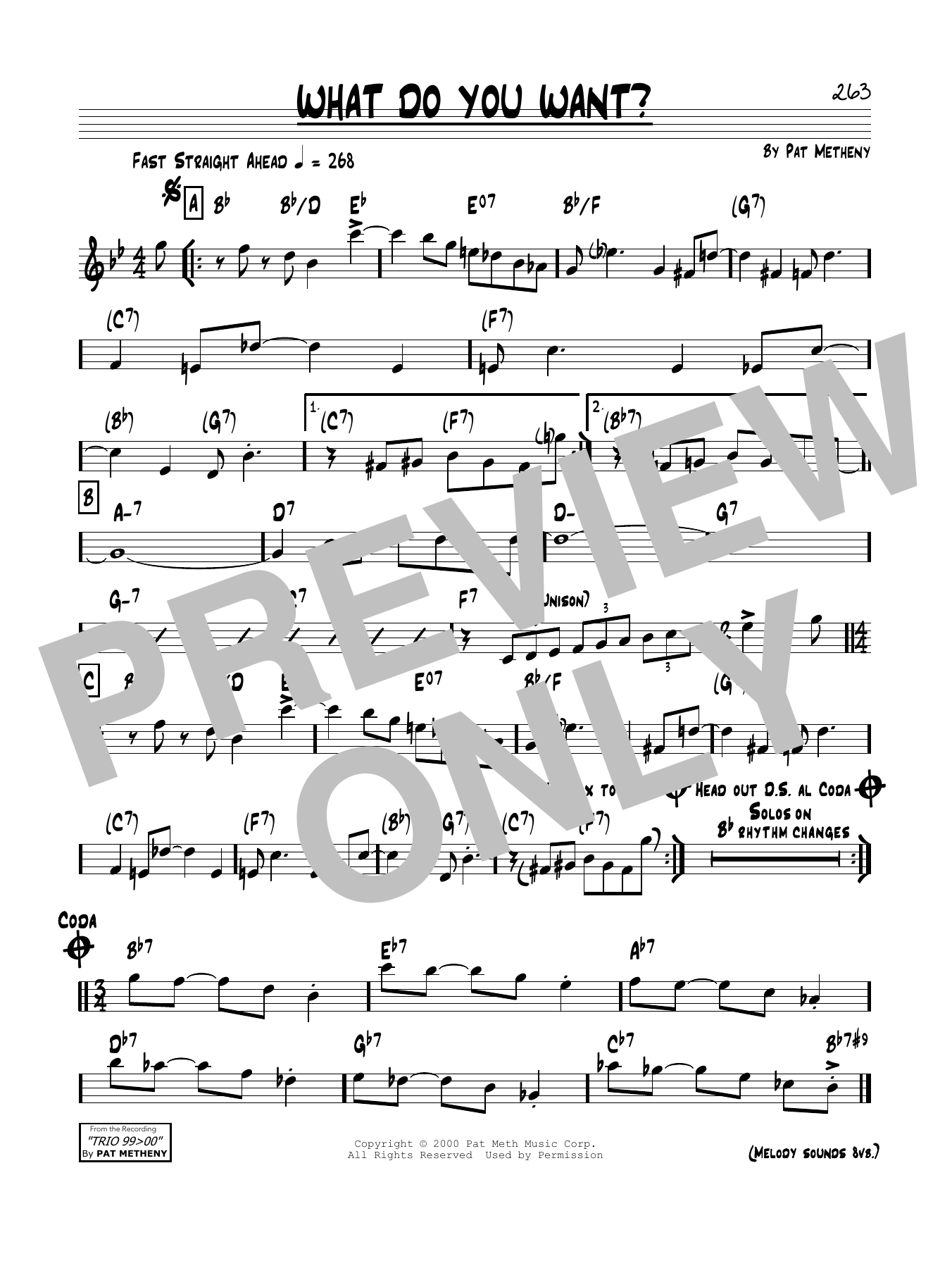 Download Pat Metheny What Do You Want? Sheet Music