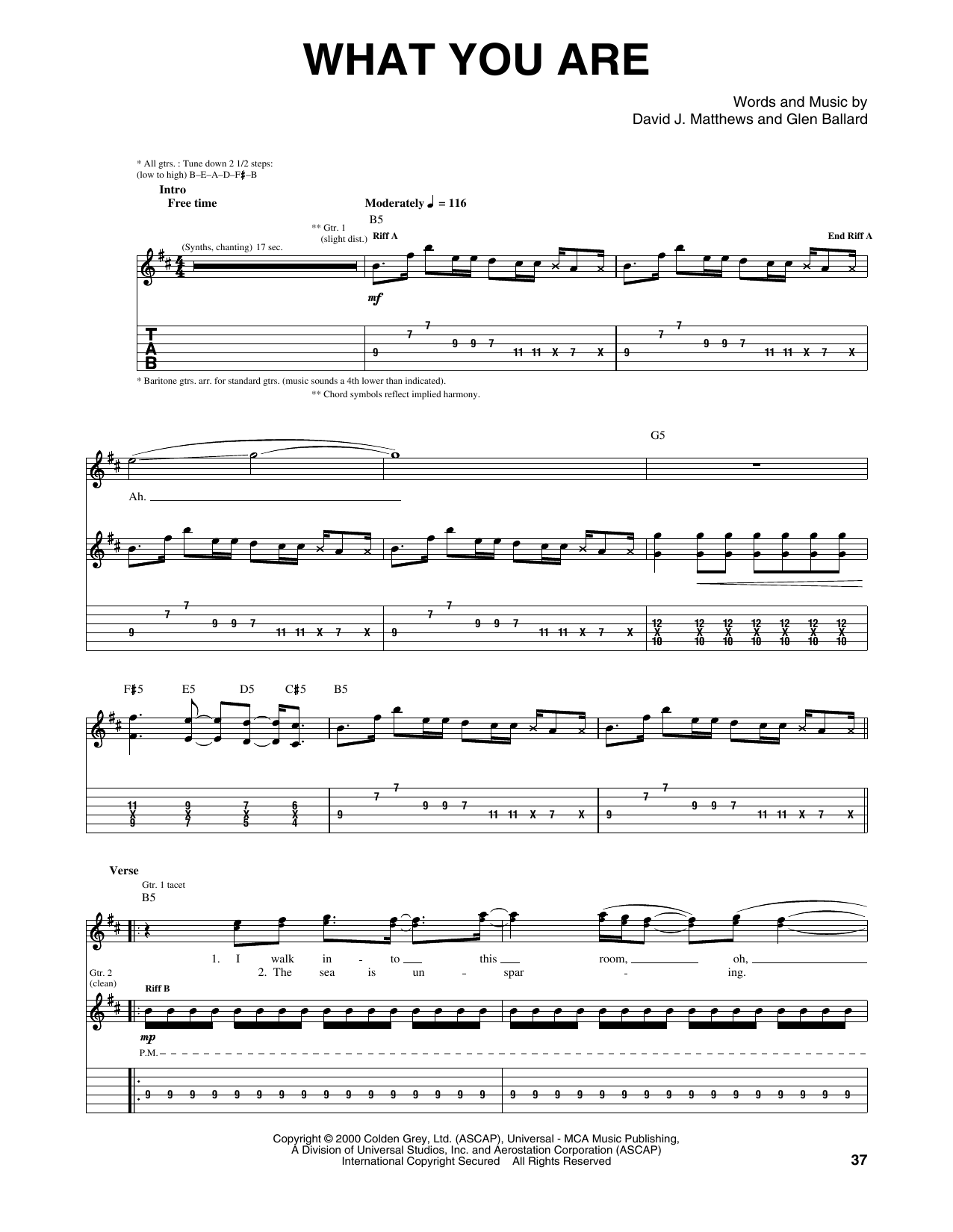 Download Dave Matthews Band What You Are Sheet Music