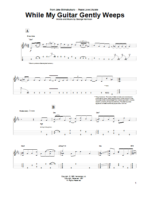 Download The Beatles While My Guitar Gently Weeps (arr. Jake Sheet Music