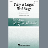 Download or print Why A Caged Bird Sings Sheet Music Printable PDF 18-page score for Concert / arranged SSA Choir SKU: 460534.