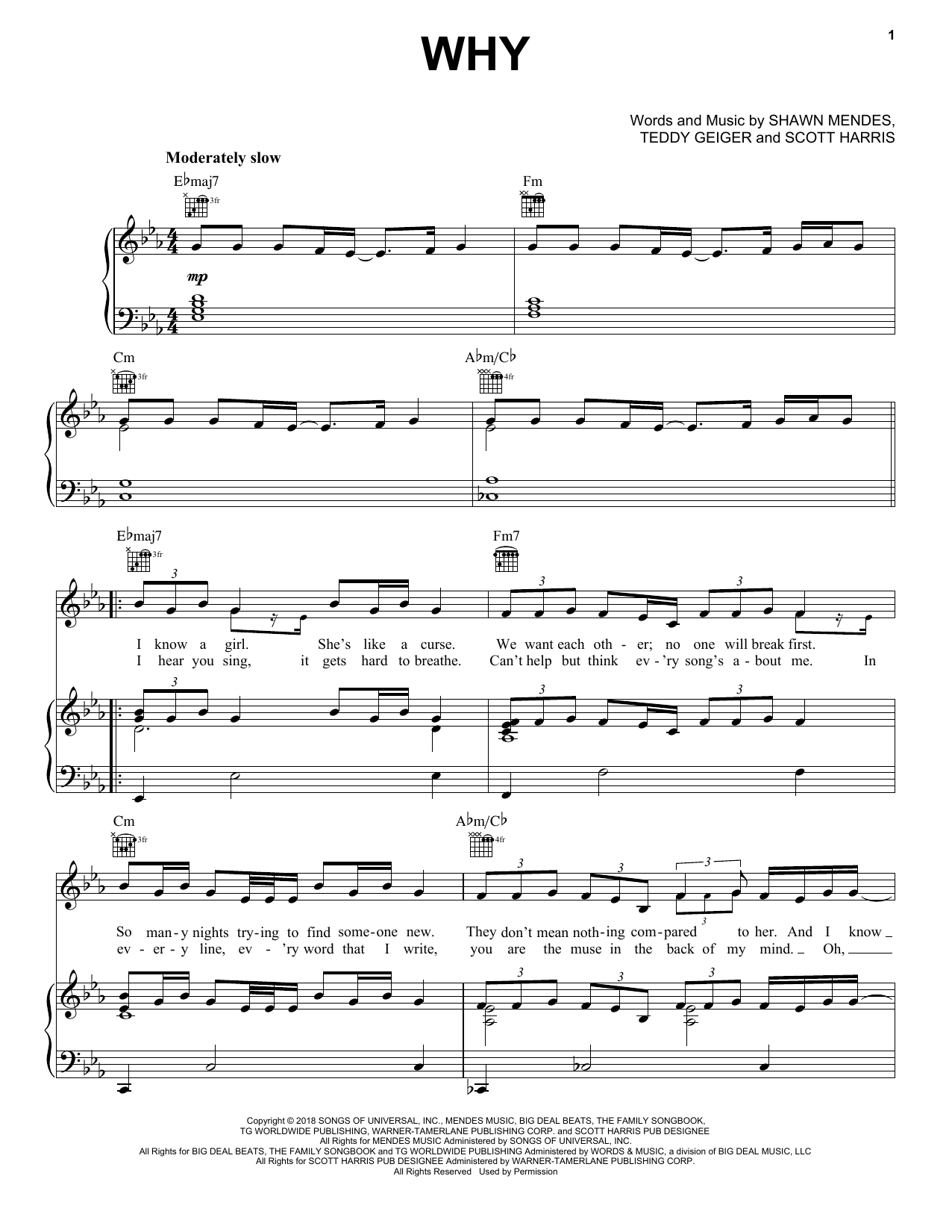 Download Shawn Mendes Why Sheet Music
