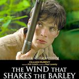Download or print Wind That Shakes The Barley Sheet Music Printable PDF 2-page score for Irish / arranged Easy Piano SKU: 71922.