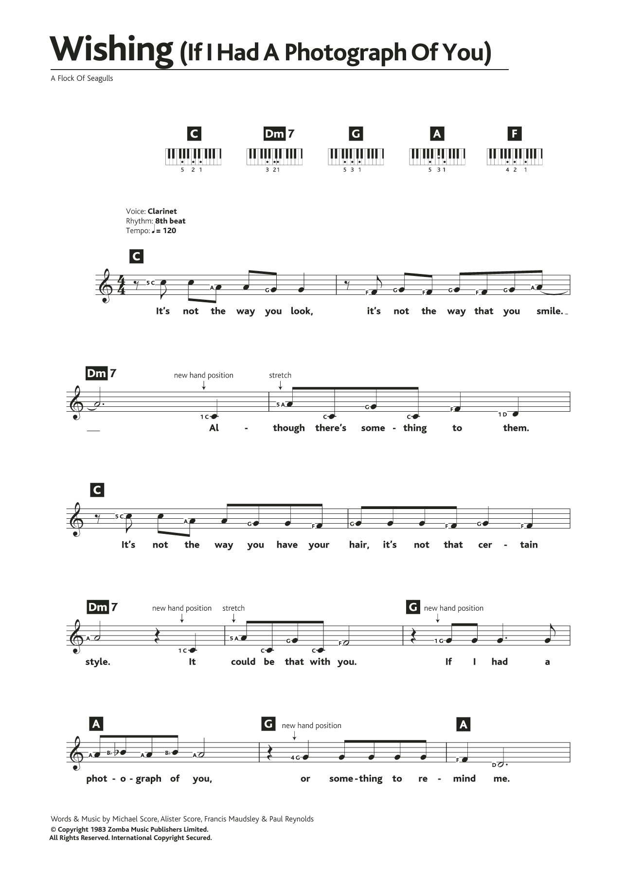 Download A Flock Of Seagulls Wishing (If I Had A Photograph Of You) Sheet Music