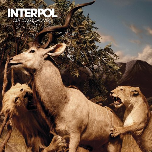 Interpol image and pictorial