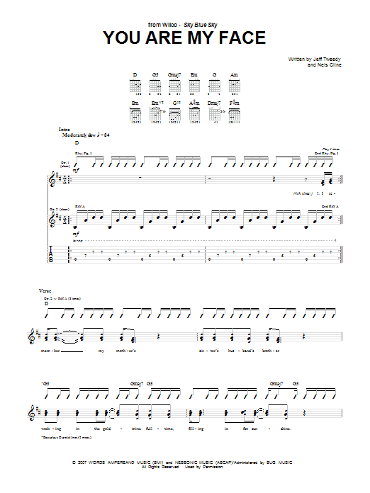 Download Wilco You Are My Face Sheet Music