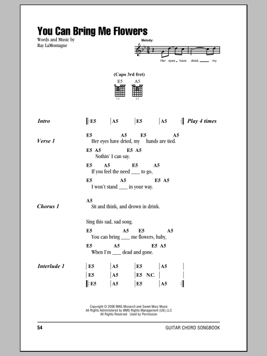 Download Ray LaMontagne You Can Bring Me Flowers Sheet Music