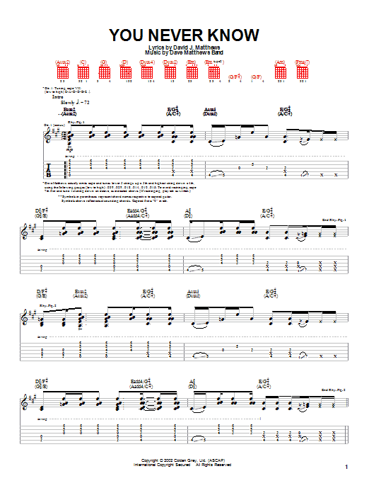 Download Dave Matthews Band You Never Know Sheet Music