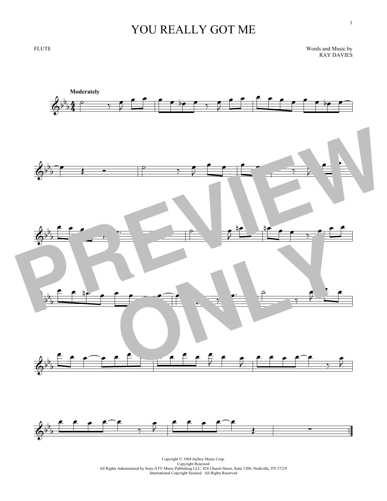 Download The Kinks You Really Got Me Sheet Music