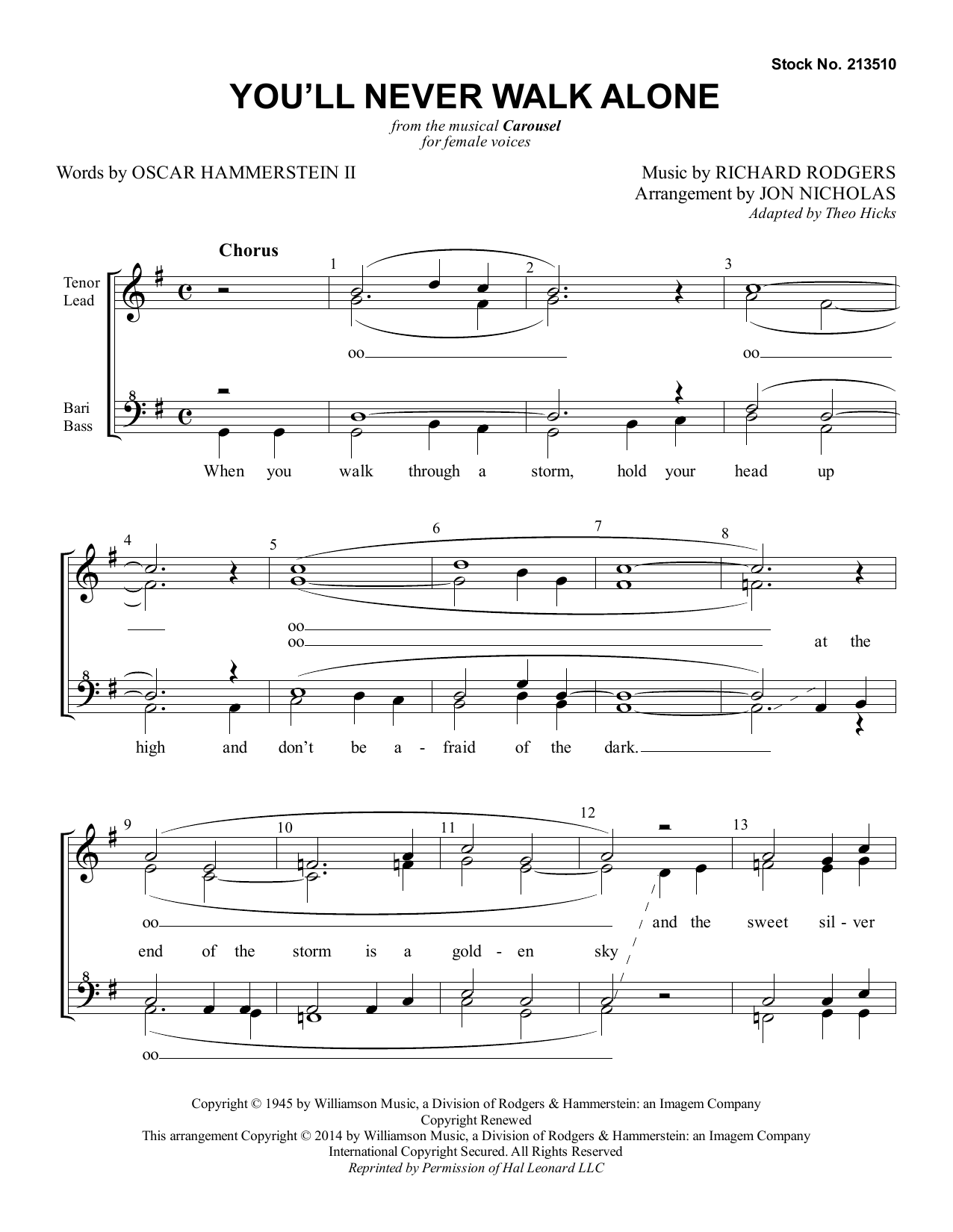 Download Rodgers & Hammerstein You'll Never Walk Alone (from Carousel) Sheet Music