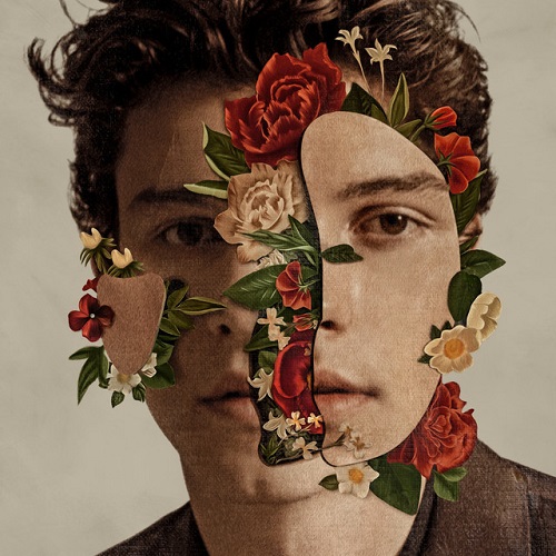 Shawn Mendes image and pictorial